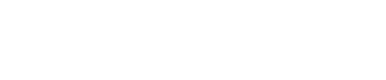 logo-boletín-minero-sonami